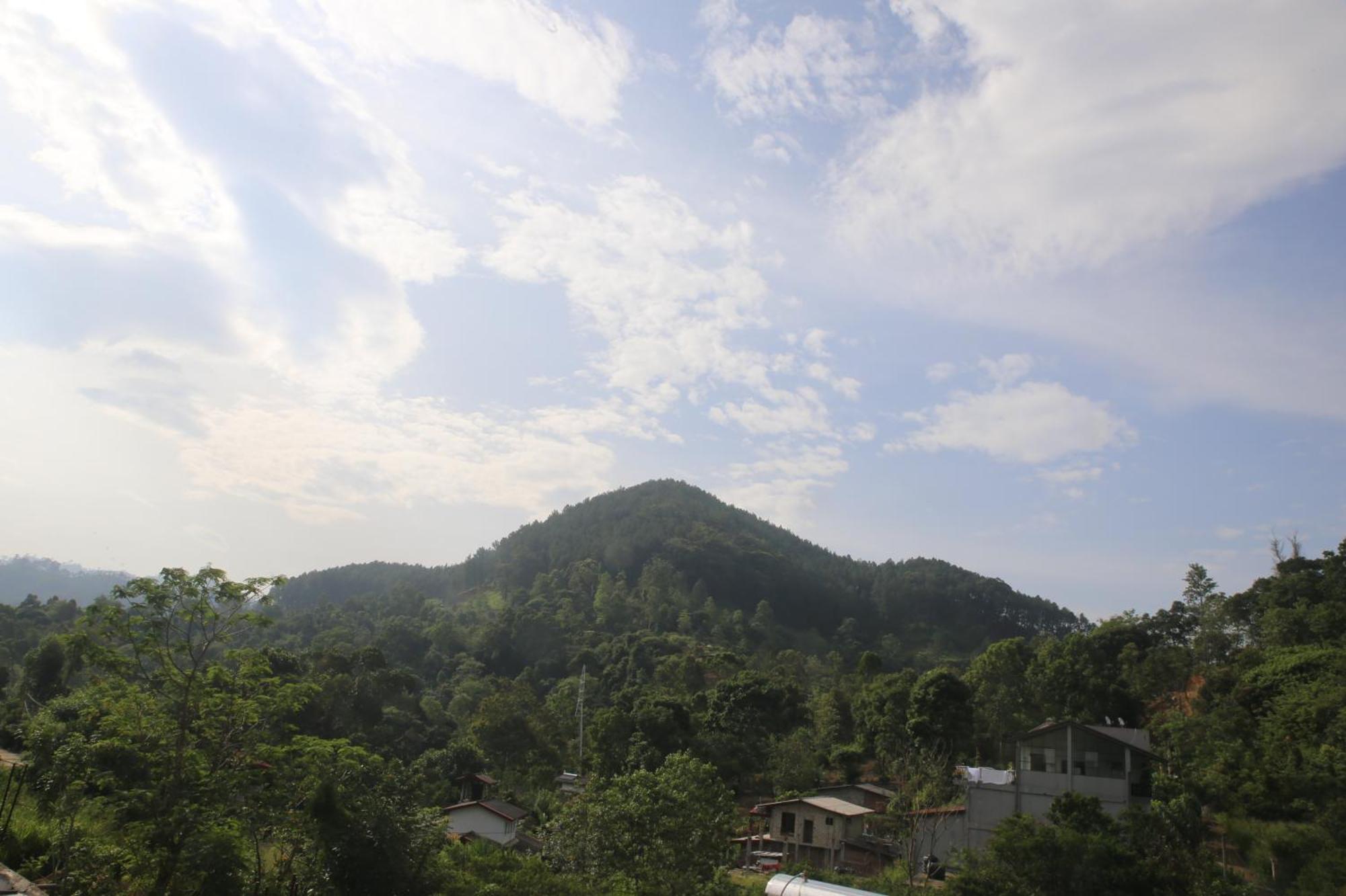 Maya 44 Ella Luaran gambar